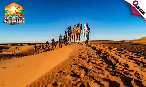 Half-Day Desert Safari with Snacks!
